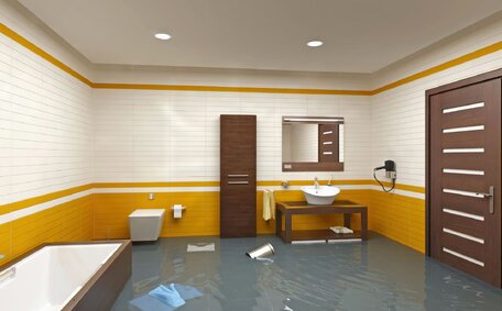 plumbing issue appliance issue